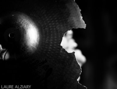 Sendwood photo