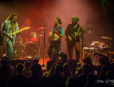 performing live at the 18th annual Victoria Ska and Reggae Festival
