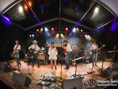 NEW COUNTRY RAIN photo