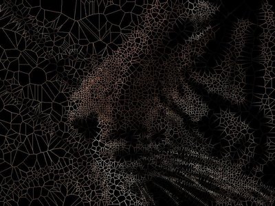 Vorotrans Artwork video frame from Wild Life video footage by Stephane Poirier aka DJ-OIFII/VJ-OIFII