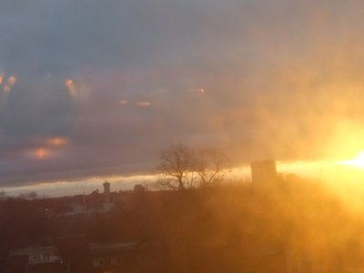 Morning Light