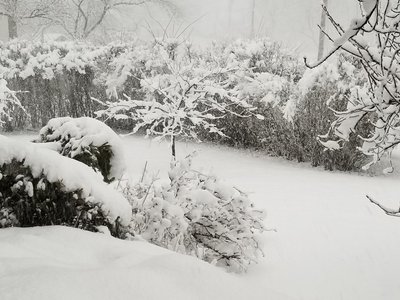 Snowstorm 2018