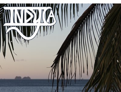 Indyca photo