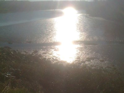 River Dargle 