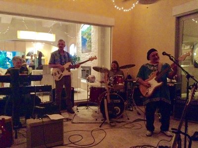 Ted Hall & The Pleasure Cats photo