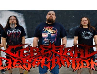 CEREBRAL DESECRATION photo