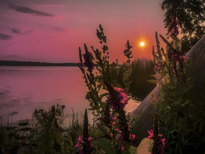 Bob Raymonda photo