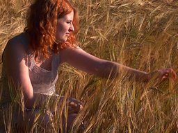 Fields Of Gold still 2010 © Stefanie Damm