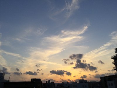 Yukiko Nishimura photo