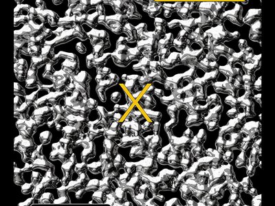 Flux Aeterna album art