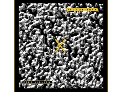 Flux Aeterna album art
