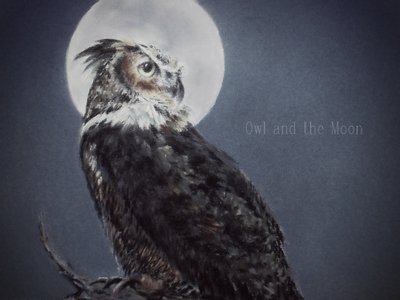 Owl and the Moon