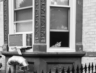 Brownstone Poets photo