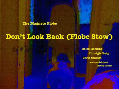The Magneto Flobe photo
