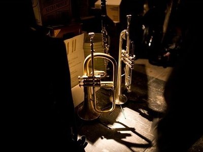 Horns