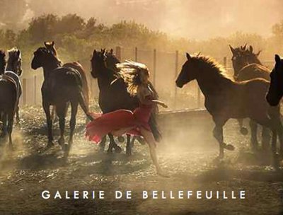 G horses