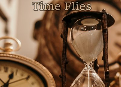 Time Flies