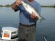 fishin' an listen'en