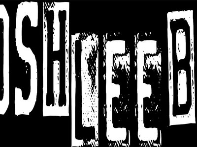 The Josh Lee Band photo