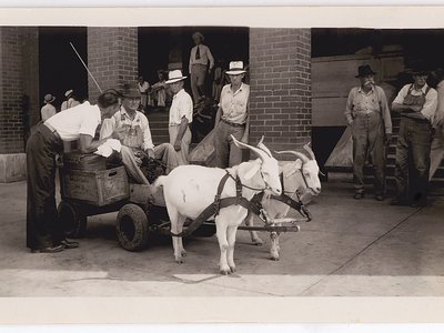 GADSDEN GOATCARTÂ©2018 J. WILLIAM KENNEDY