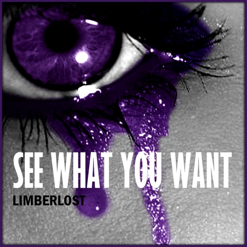 See What You Want~Cover