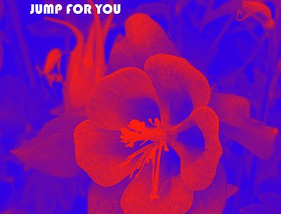 Jump for You single