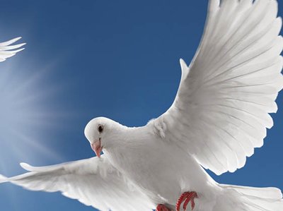 In the name of the Father and the Son and the Holy Spirit is the truth, the love, and the strength
