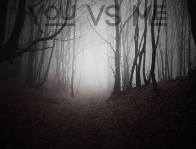 You vs Me photo