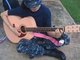 Meow_Guitar