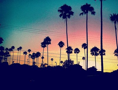 Summer Nights