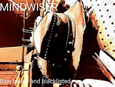 Mindwiser photo