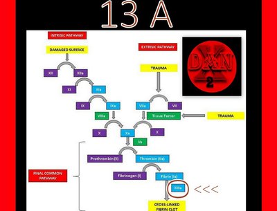13 A