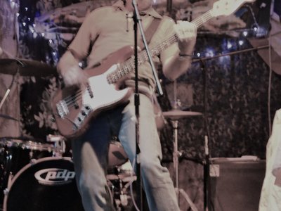 Squirrels From Hell photo