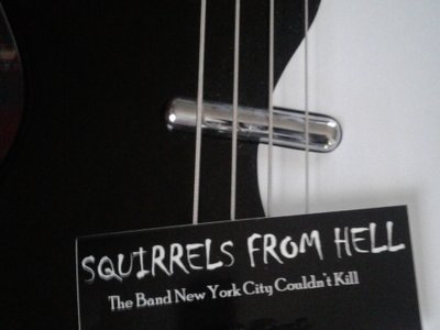 Squirrels From Hell photo