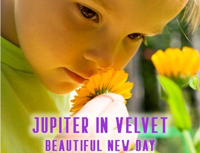 Jupiter In Velvet photo