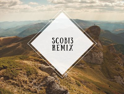 SCOBIE Remix photo