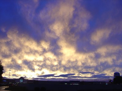 Steve Tichenor photo