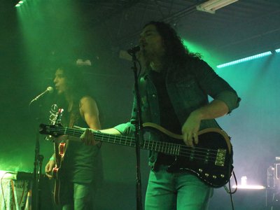Cosmic Wool photo