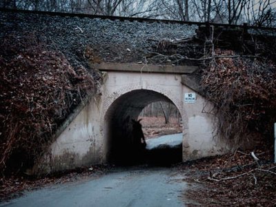 colchester overpass - bunnyman bridge in fairfax county