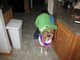 St. Patty's day