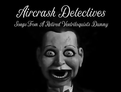 AirCrash Detectives photo