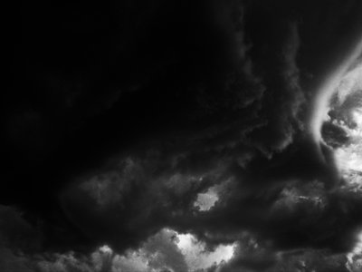 Destrania photo
