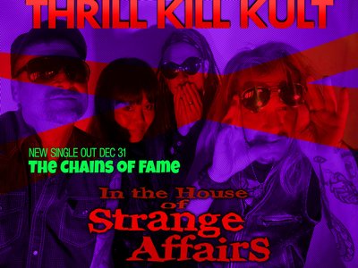 MY LIFE WITH THE THRILL KILL KULT photo