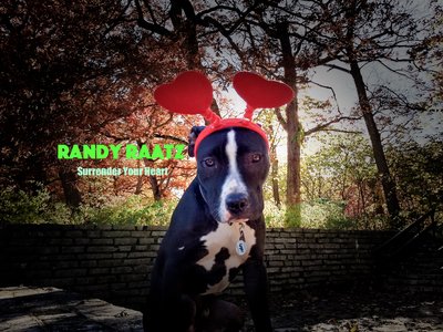 Randy Raatz Band photo