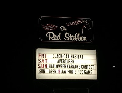 Black Cat Habitat photo