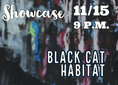 Black Cat Habitat photo