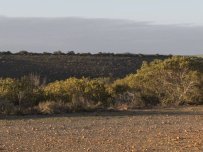 HEATHER WATERS (SA) photo