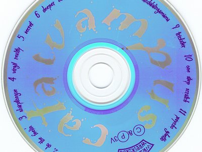 Catwampus' 1st CD "NapInYourLap"