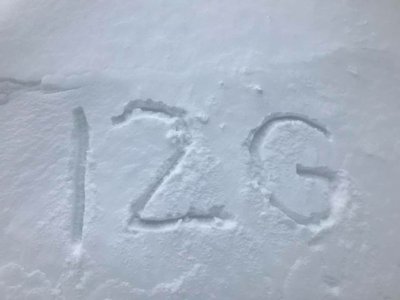 12Gage Blevins photo