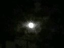 Moon Dance